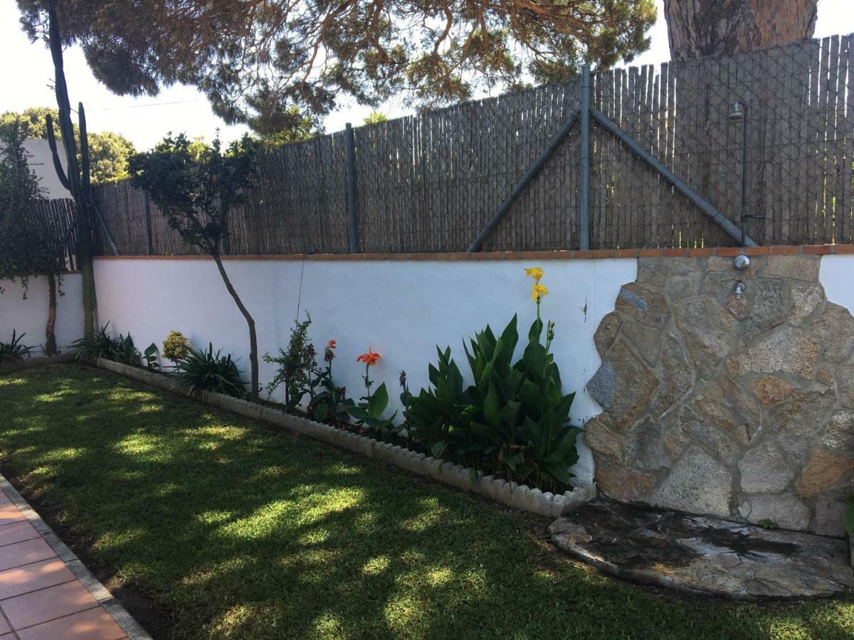 Villa Gallardo - Cerca Playa Y Pueblo - Solo Parejas O Familias Conil De La Frontera Eksteriør billede